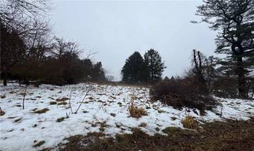 1114 Countyline Rd, New Castle, PA 16101, ,Farm-acreage-lot,For Sale,Countyline Rd,1687217