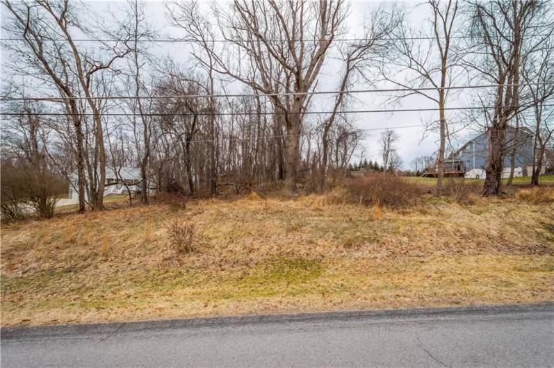 Lot View from Weber Rd.