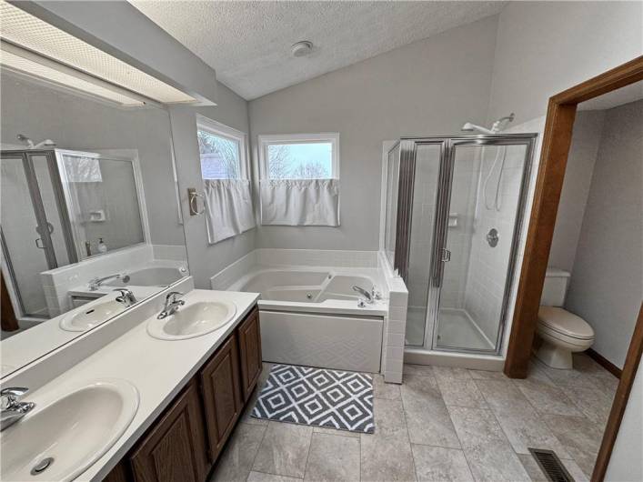 Full bath off the master bedroom has a vaulted ceiling, dual bowl vanity sink, jet tub, separate shower and separate room for the commode, plus a walk-in closet.