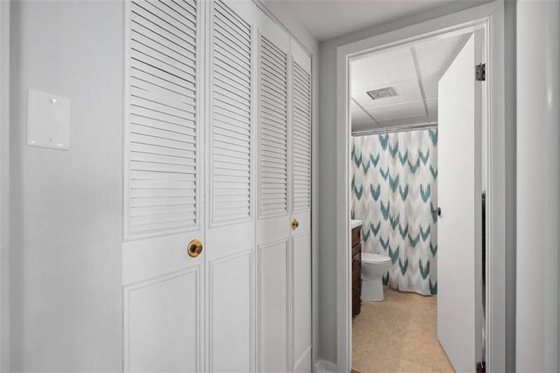 Hall linen and storage closet