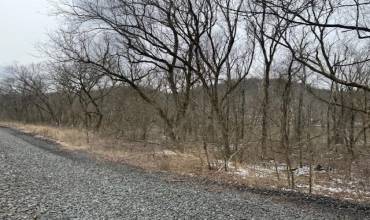 399 Palmer Rd, Adah, PA 15410, ,Farm-acreage-lot,For Sale,Palmer Rd,1689189