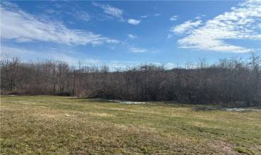 0 Old Youngstown Rd, New Castle, PA 16101, ,Farm-acreage-lot,For Sale,Old Youngstown Rd,1689219