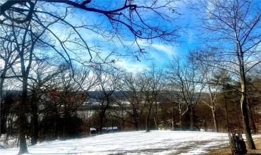 0 Sycamore Road, Sewickley, PA 15143, ,Farm-acreage-lot,For Sale,Sycamore Road,1689287