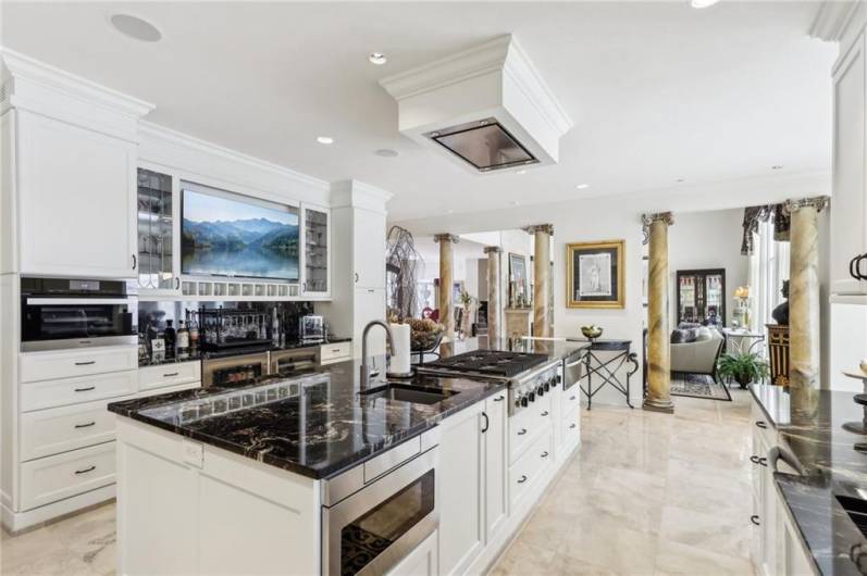Top of the line stainless steel appliances and custom range hood.