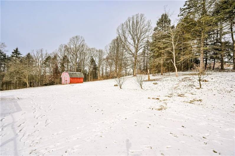 DEER AND OTHER WILDLIFE LOVE TO ROMP IN THE BACK YARD.....