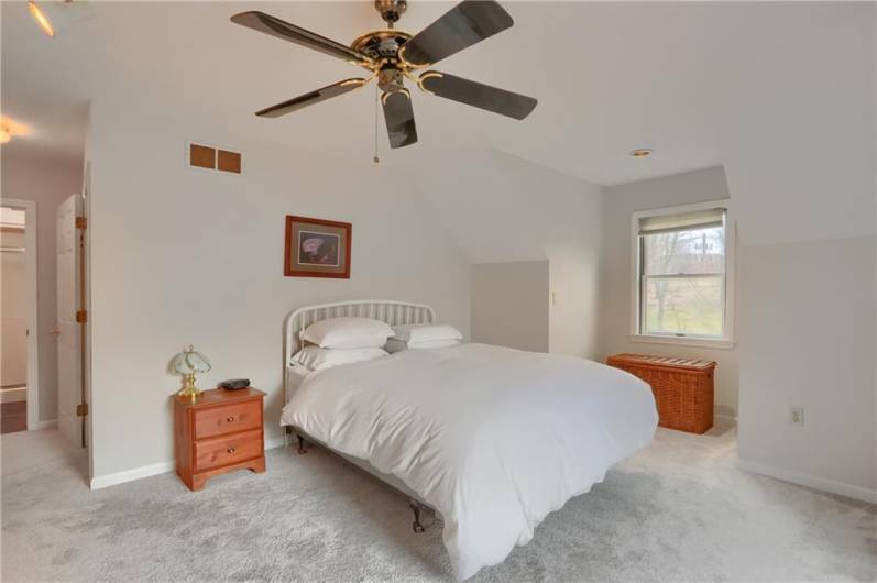 Ascend to the primary bedroom with plush carpeting, vivid windows and ceiling fan.