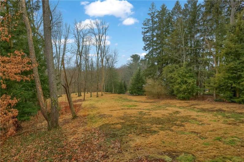 The rear of the home features a large level area for yard games.