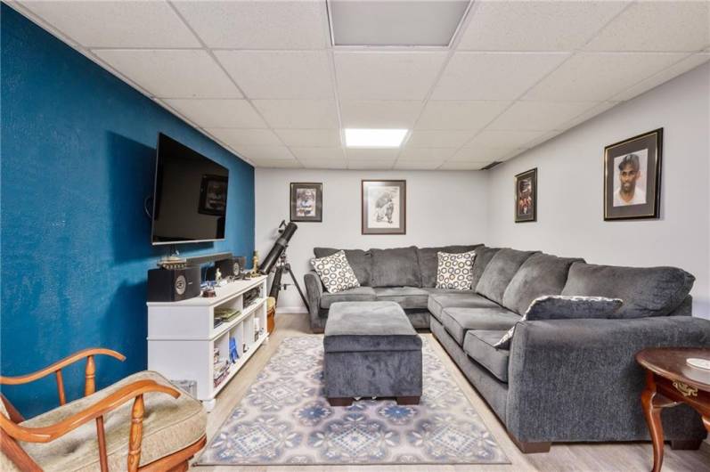 Enjoy some privacy in the basement in your new game room.