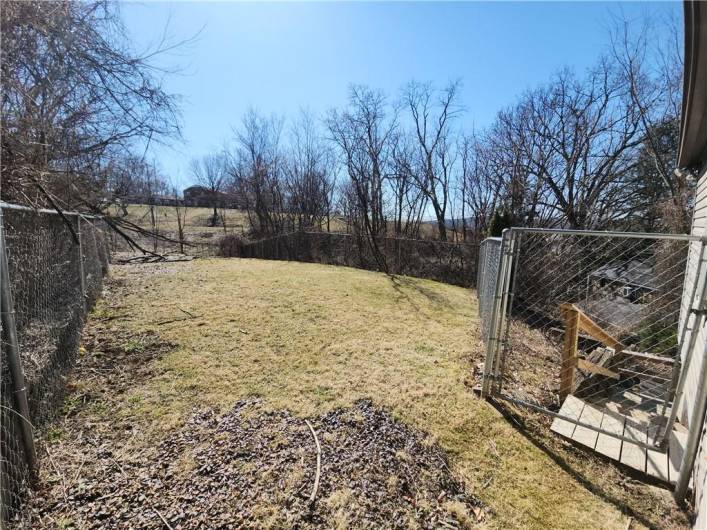 View of backyard.