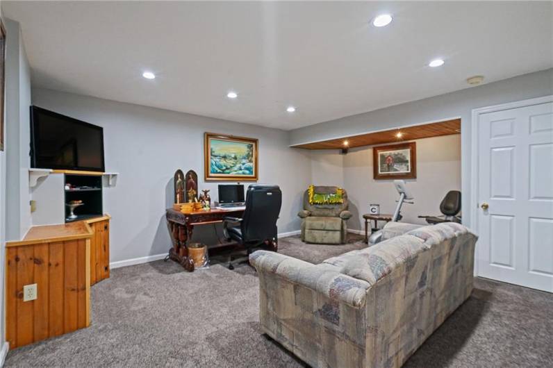 Relax or entertain in the lower-level game room.  Where using it to view your favorite movies, exercise, or a 2nd office, this flexible space offers endless possibilities.  A large unfinished area just beyond the door offers storage galore.