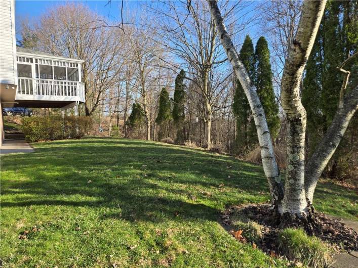 The .41 Acre lot features a large level area that continues into the woods.