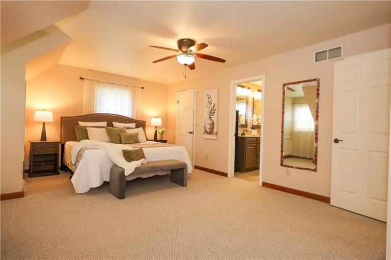 Ensuite bathroom with shower and a walk in closet