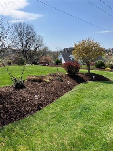 side yard