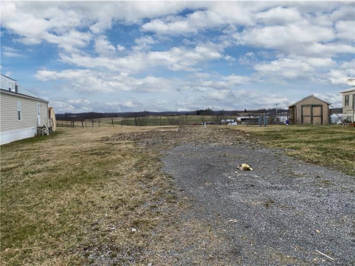 Lot 445