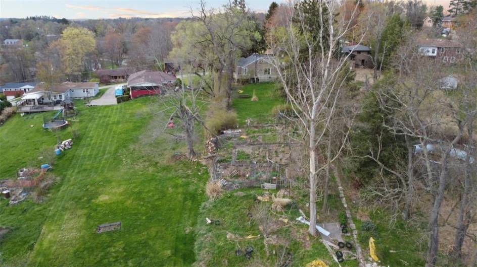 Enormous garden in the back yard, already popping with flowers and maybe even volunteer veggies, or turn it back into lawn