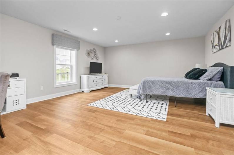 Lower level bedroom...perfect in-law/guest suite!