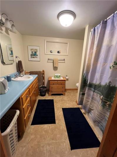 Basement Full Bathroom with shower