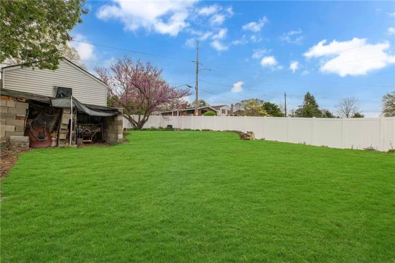 Large Fenced in Yard