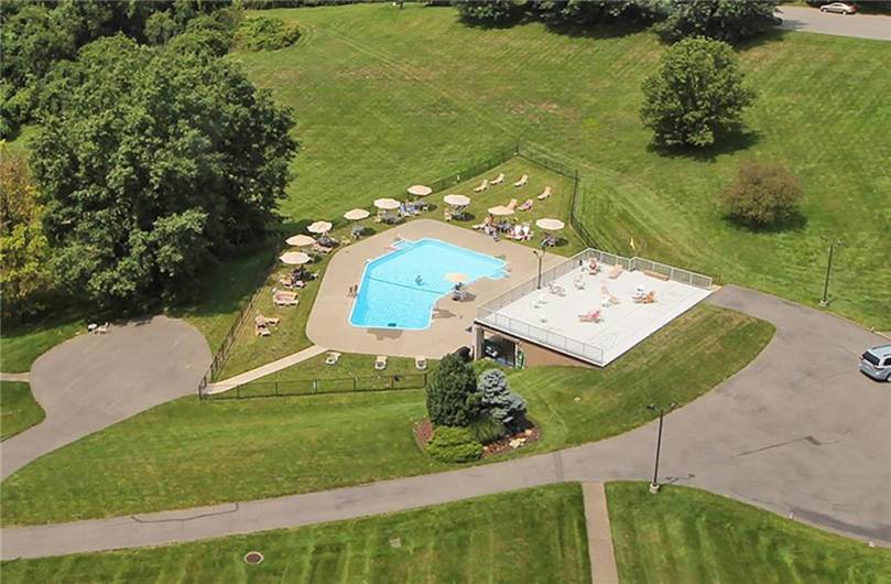 Gorgeous Pool