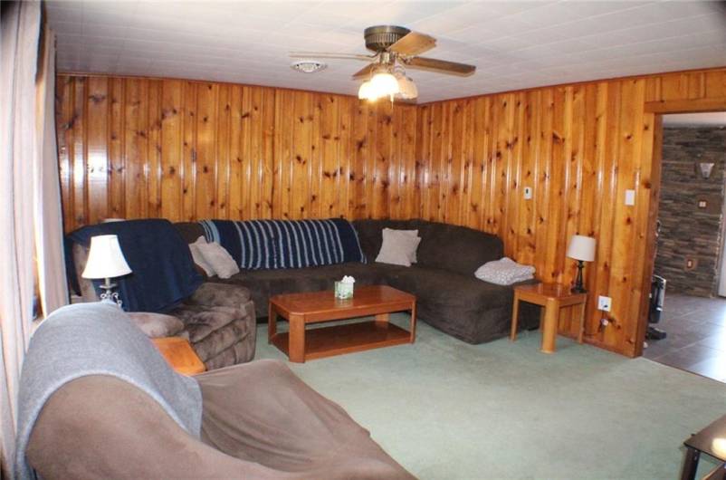 Hardwood floors under carpet!