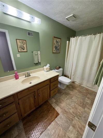 Main hallway bathroom