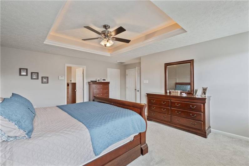 Tray ceiling...