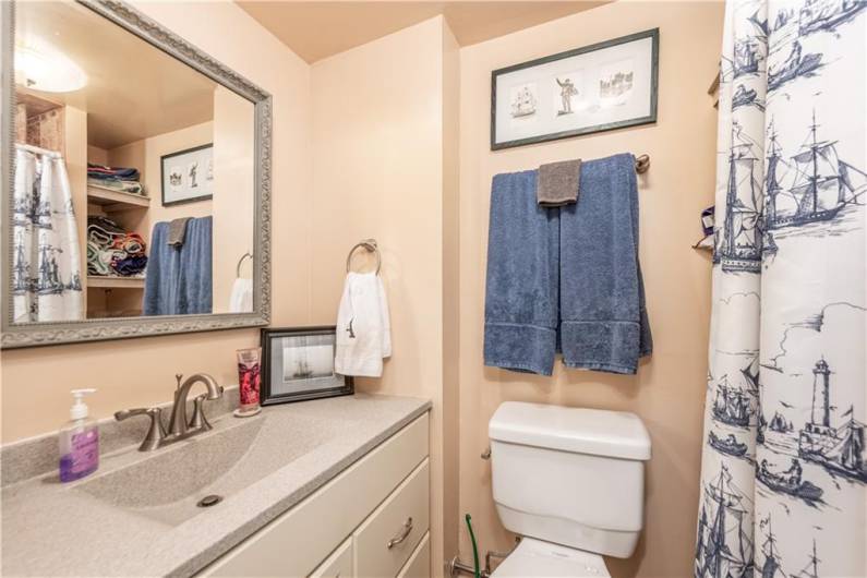 Lower level bathroom.