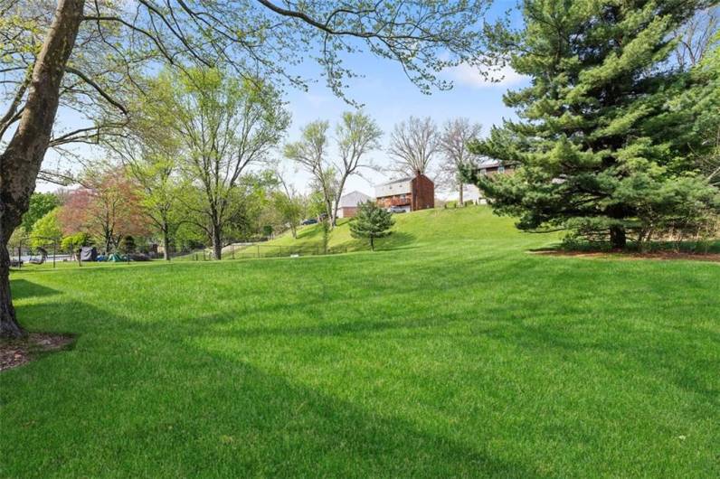 0.498 Acre Lot