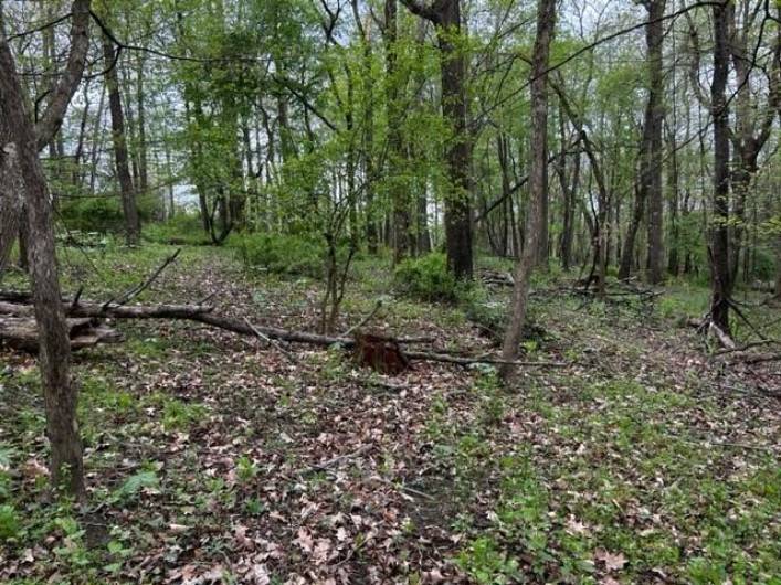 Lot 216 Thompsonville Road
