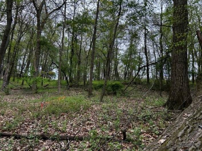 Lot 216 Thompsonville Road