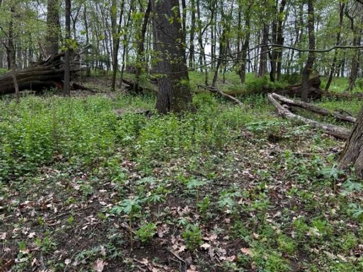 Lot 216 Thompsonville Road