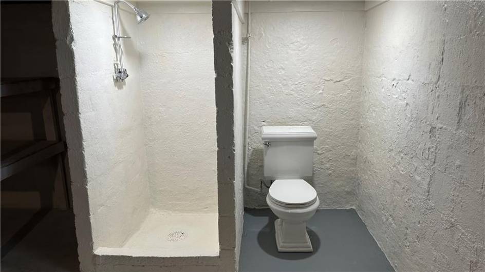 Stand up shower and new commode in basement.