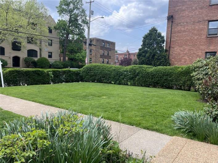 Front lawn