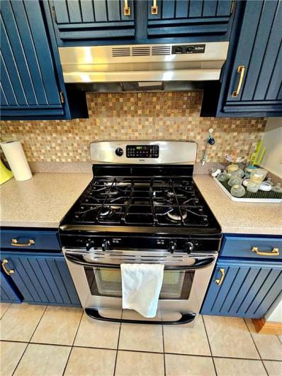 Gas Stove/Oven and Range Hood