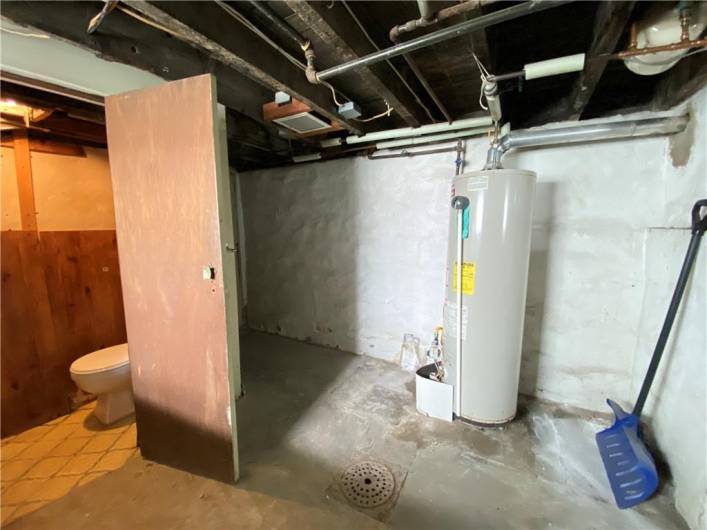 Basement has a shower and powder room