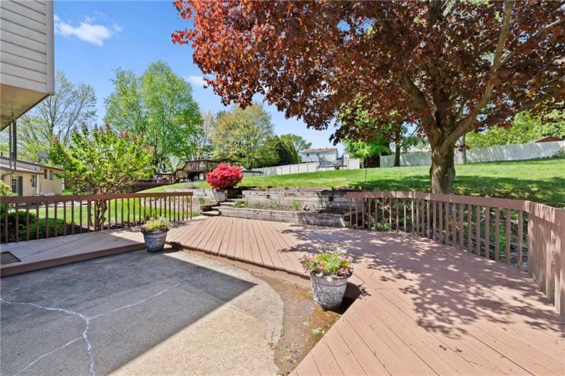 Deck to back yard