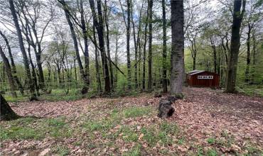 0 Squirrel Road, Evans City, PA 16033, ,Farm-acreage-lot,For Sale,Squirrel Road,1700371