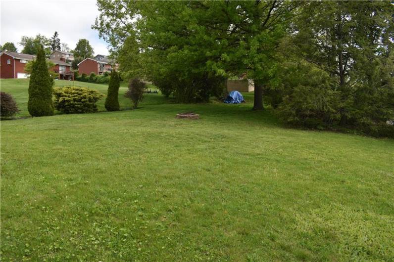 Level Back Yard