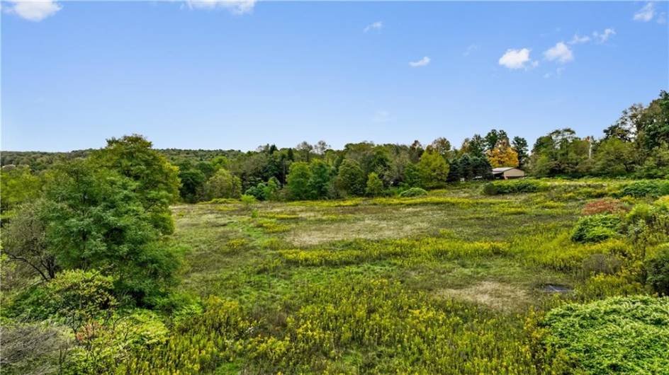 A blend of level open, green grassy area as well as wooded areas create a dynamic landscape for a custom design residence or ommercial use.