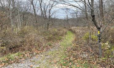 LOT Burtner Rd, Natrona Heights, PA 15065, ,Farm-acreage-lot,For Sale,Burtner Rd,1700665