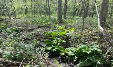 000 Conneaut Lake Road, Greenville, PA 16125, ,Farm-acreage-lot,For Sale,Conneaut Lake Road,1700696