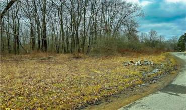 0000 Penn Rd, Franklin, PA 16323, ,Farm-acreage-lot,For Sale,Penn Rd,1701028