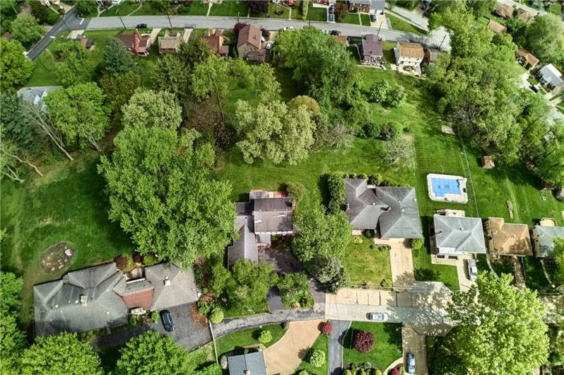 View of the private cul de sac and lovely lots in the area where mature trees still reside alongside the homes!