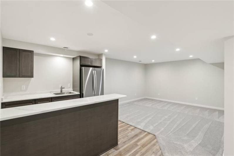 downstairs family room and kitchenette
