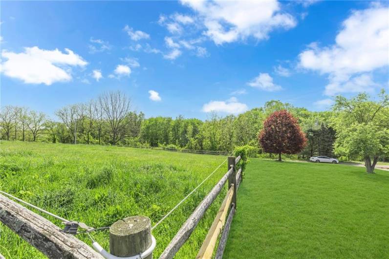 Pastures