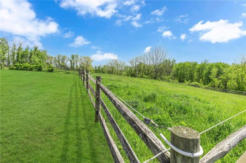 Pastures