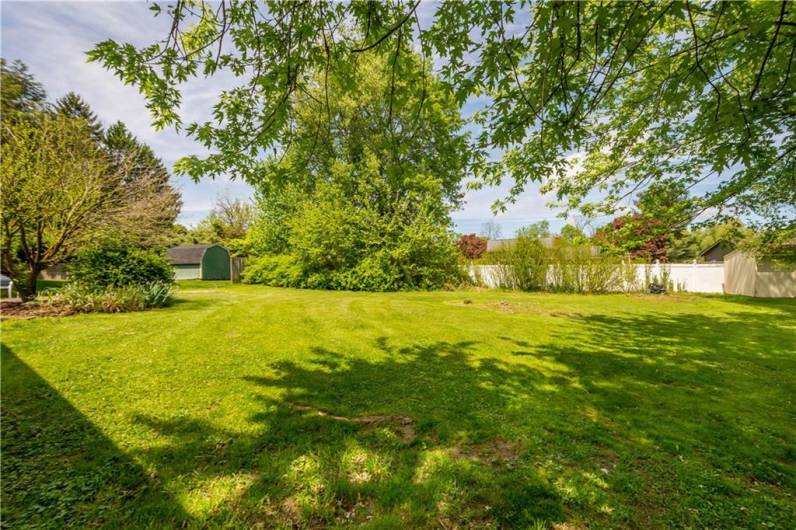 Great Yard for Pets or Play