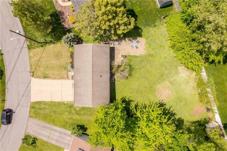Birds Eye View