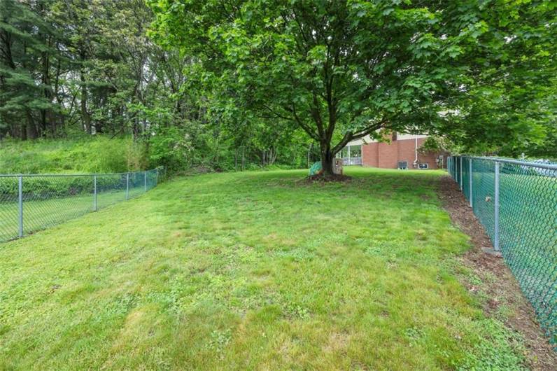USEABLE flat yard area