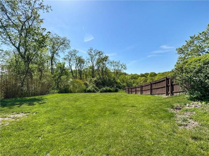 Great yard at the end of a dead-end street!